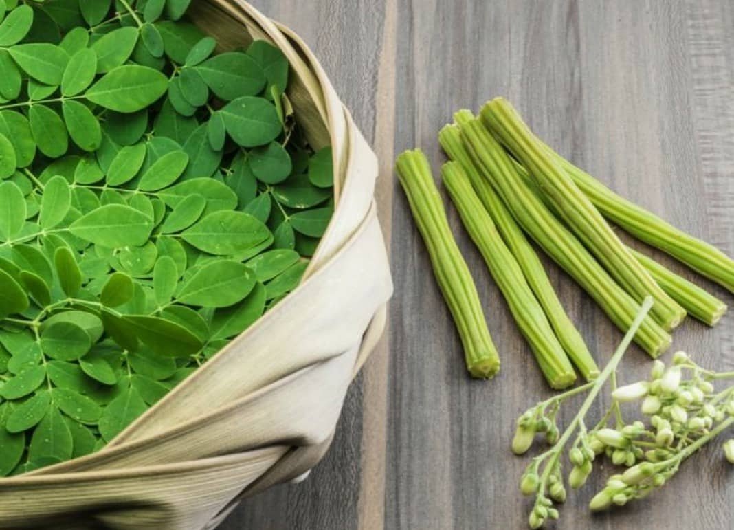 Moringa Leaves Flakes
